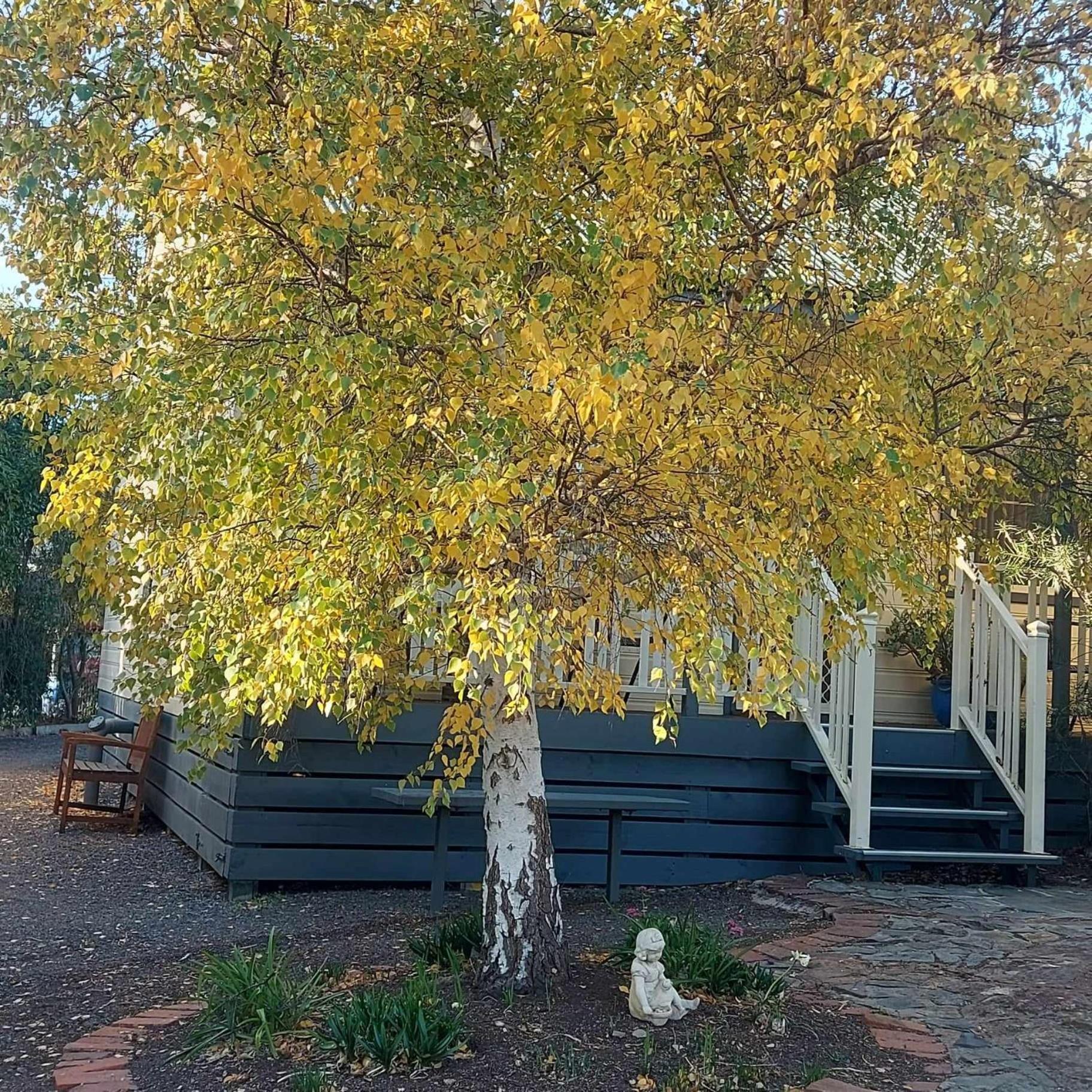 Avoca Cottages Victoria المظهر الخارجي الصورة